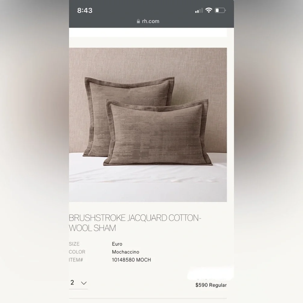 2 Restoration Hardware BRUSHSTROKE JACQUARD COTTON WOOL Euro Shams Mochaccino